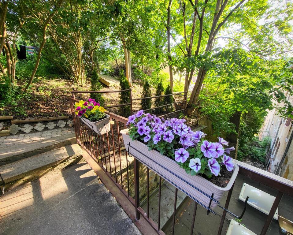 Excellent Apartments In Spa City Center 5 Min Walk From The Colonnade การ์โลวีวารี ภายนอก รูปภาพ