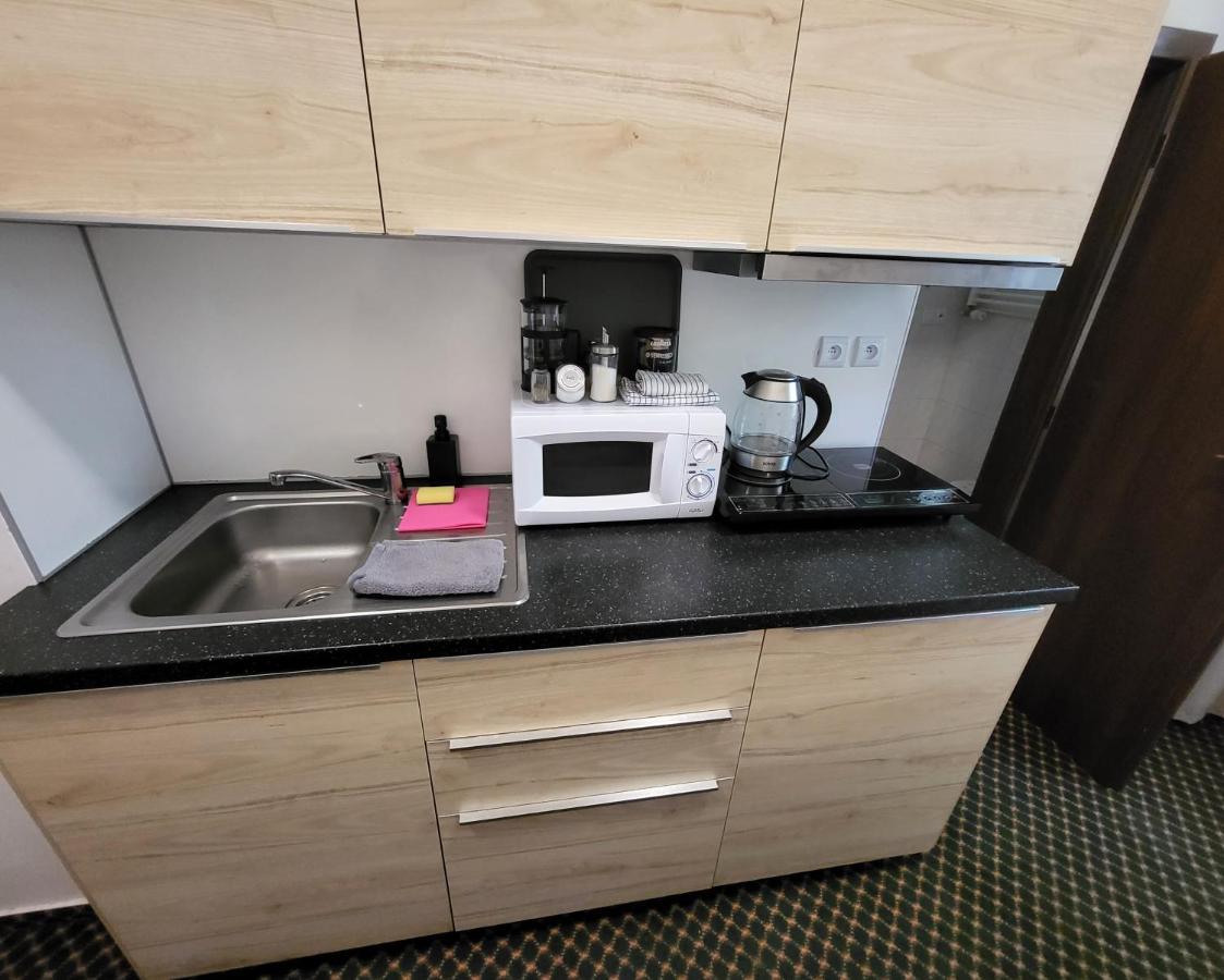 Excellent Apartments In Spa City Center 5 Min Walk From The Colonnade การ์โลวีวารี ภายนอก รูปภาพ